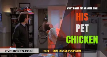 Kramer's Quirky Chicken Name: Unveiling the Seinfeld Pet's Unique Moniker