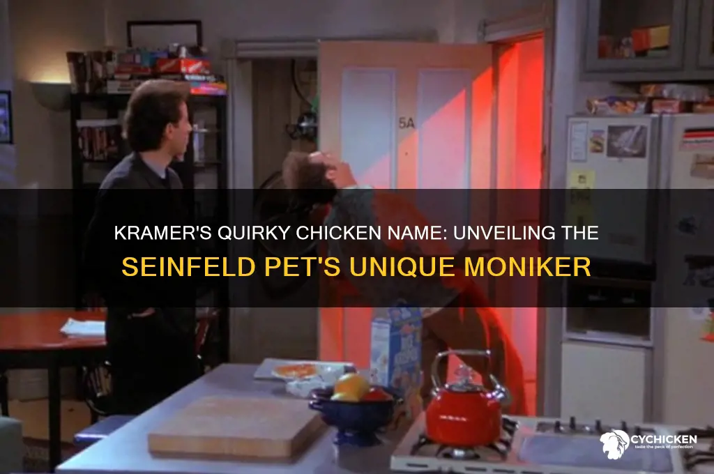 what name did kramer give his pet chicken