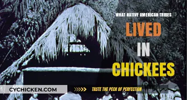 Native American Tribes Who Called Chickees Home: A Historical Overview