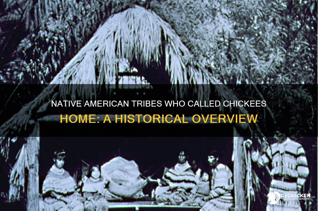 what native american tribes lived in chickees