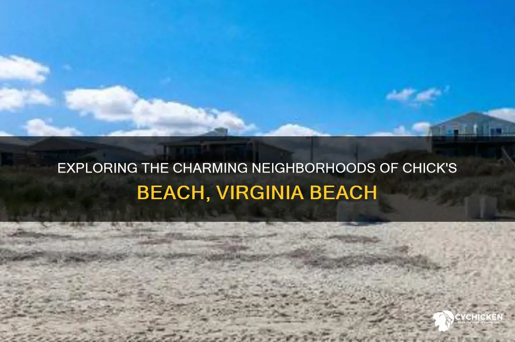 what neighborhoods are in chicks beach virginia beach