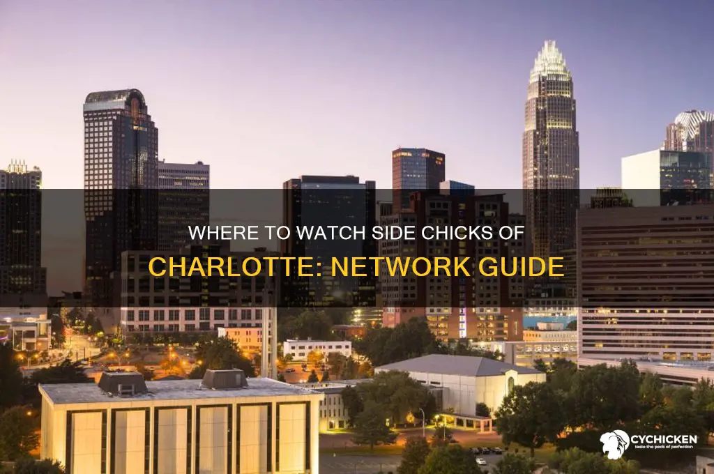 what network is side chicks of charlotte on