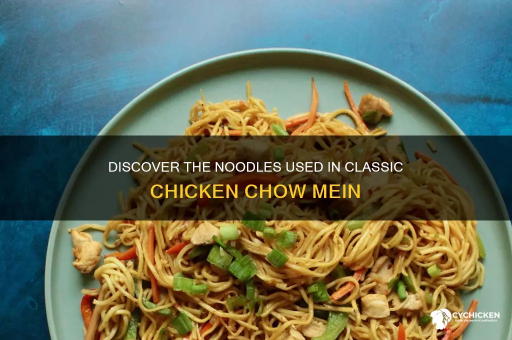 what noodles are in chicken chow mein
