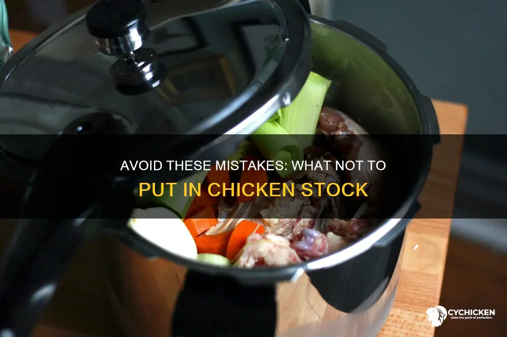 what not to put in chicken stock