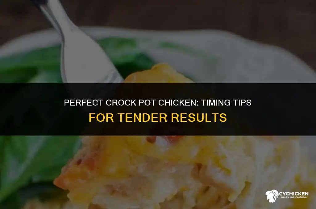 what number should crock pot chicken