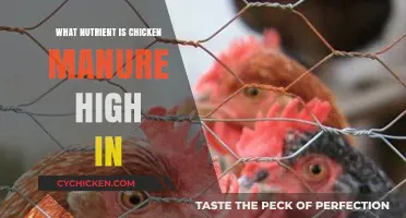Unlocking Chicken Manure's Nutrient Power: High in Nitrogen and More