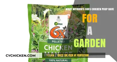 Chicken Manure: Superfood for Your Garden?