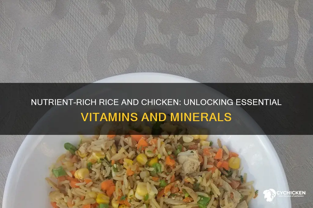 what nutrients is in rice and chicken
