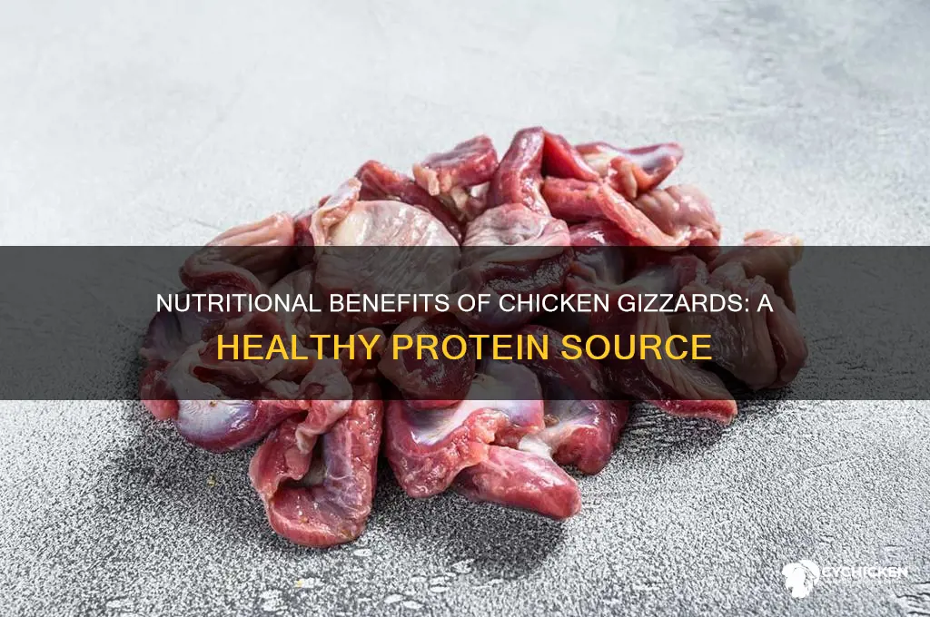 what nutritional value do chicken gizzards have