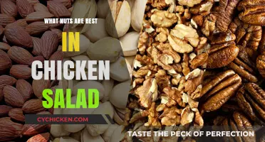 Crunchy Delights: Top Nut Picks for Your Chicken Salad