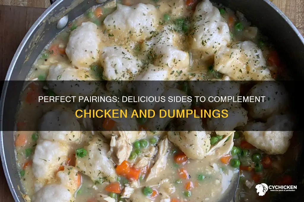 what o go with chicken and dumplings