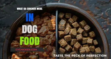 Understanding the Role of Chicken Meals in Dog Food Nutrition
