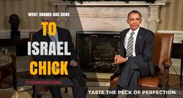Obama's Impact on Israel: Policies, Relations, and Chick's Perspective