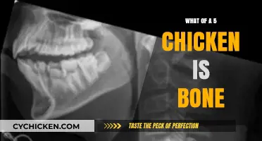 Understanding the Bone Content in a 5-Piece Chicken Serving