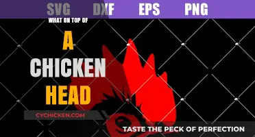 Unveiling the Mystery: What's Perched on Top of a Chicken's Head?