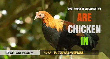 Understanding the Taxonomic Classification Order of Chickens in Biology