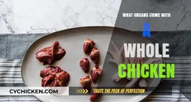 Unplucking the Truth: What Organs Come with a Whole Chicken?