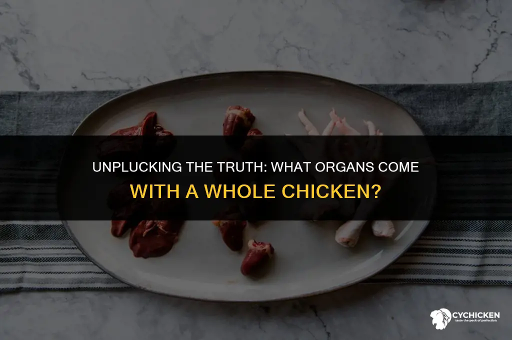 what organs come with a whole chicken