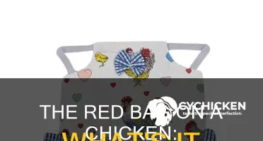 what os the red bag on a chicken called