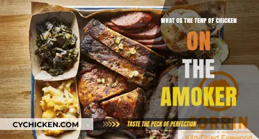 Tasty Chicken Smoking: Top Temperature Tips