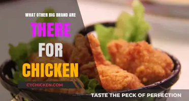 Top Chicken Brands: Exploring Big Names Beyond the Usual Suspects