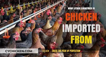 Global Chicken Imports: Exploring Countries Supplying Poultry Worldwide