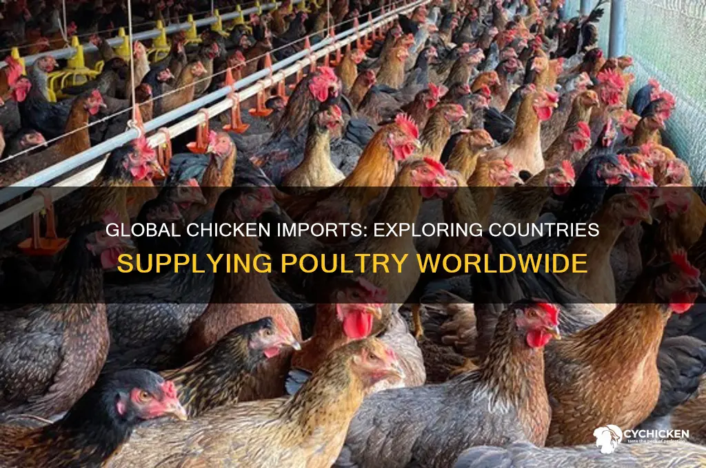 what other countries is chicken imported from