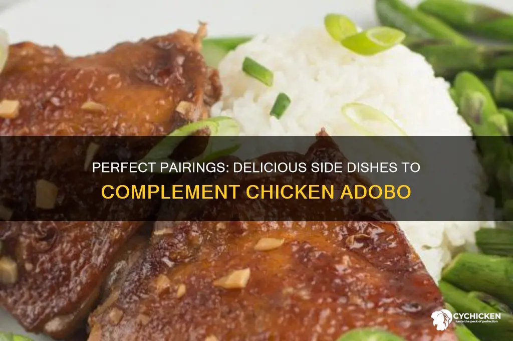 what other dishes go with chicken adobo