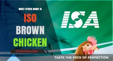 Discovering the Alternative Name for ISO Brown Chicken: A Guide