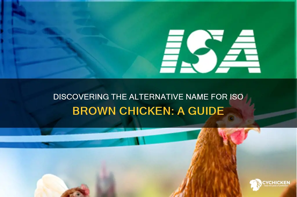 what other name is iso brown chicken