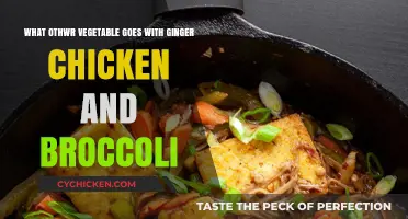 Creative Combinations: Ginger Chicken and Broccoli's Best Pairing