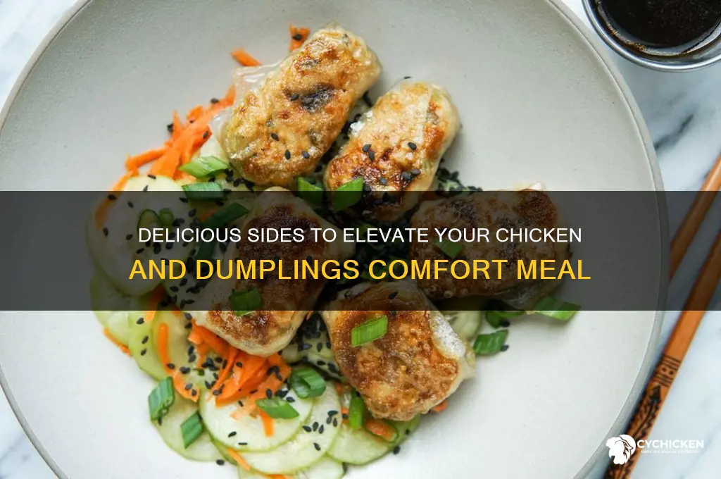 what pairs well with chicken and dumplings