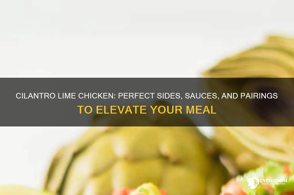 what pairs well with cilantro lime chicken