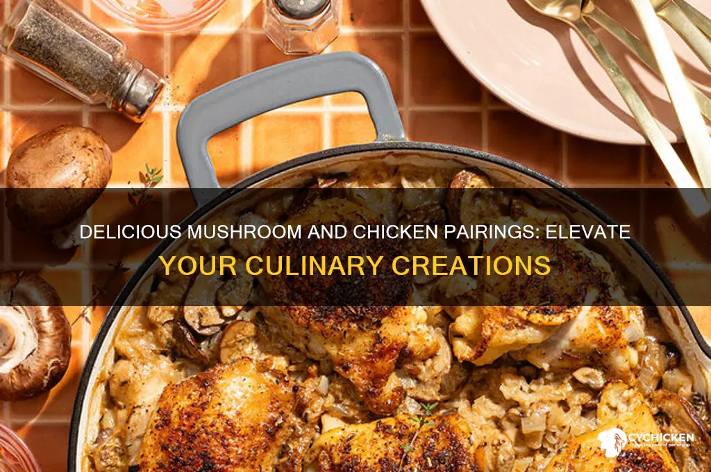 what pairs well with mushrooms and chicken
