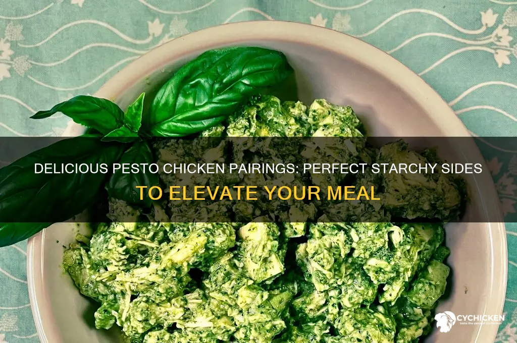 what pairs well with pesto chicken starch