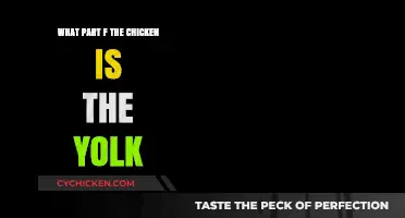 Unraveling the Mystery: Where Does the Yolk Come From?