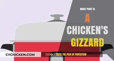Understanding the Chicken's Gizzard: Function, Role, and Culinary Uses