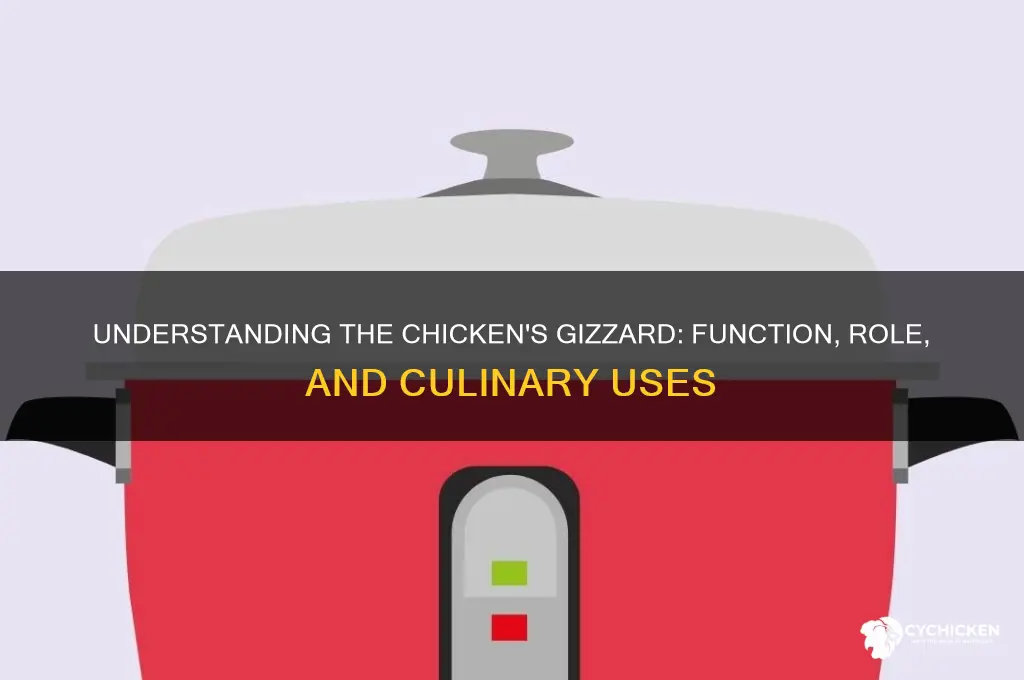 what part is a chicken
