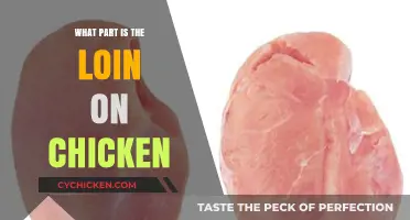 Understanding Chicken Anatomy: Where Exactly is the Loin Located?