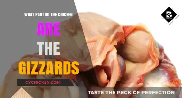 Understanding Chicken Gizzards: Location, Function, and Culinary Uses