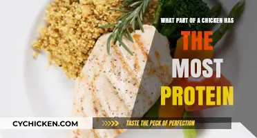 Maximizing Protein: Which Chicken Parts Pack the Most Punch?