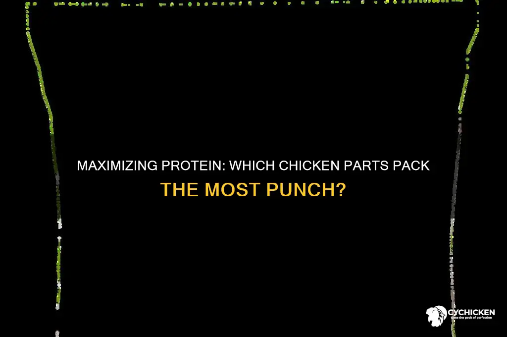 what part of a chicken has the most protein