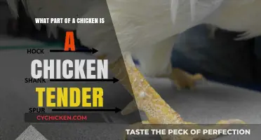Chicken Tender: Know Your Chicken Inside Out