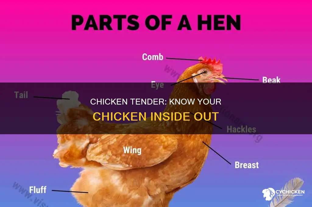 what part of a chicken is a chicken tender