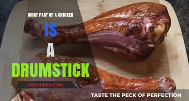Understanding Chicken Anatomy: What Exactly is a Drumstick?