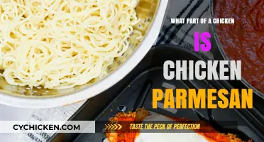What Part of a Chicken is Chicken Parmesan? A Culinary Guide