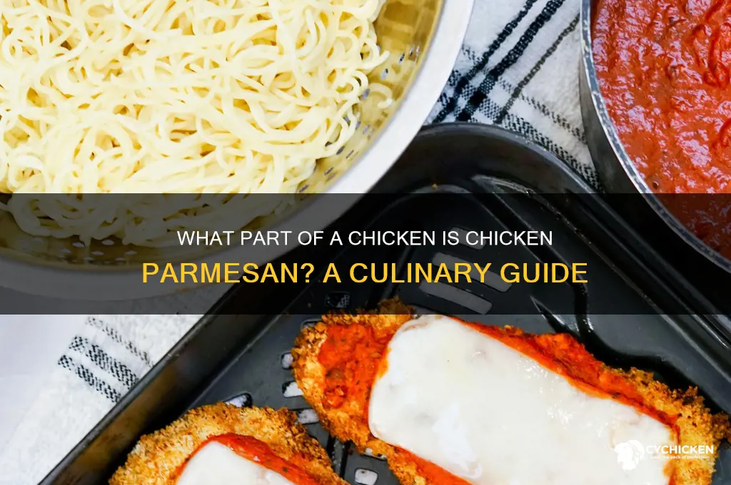 what part of a chicken is chicken parmesan