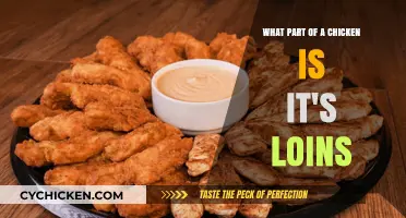 Understanding Chicken Loins: Where Are They Located?
