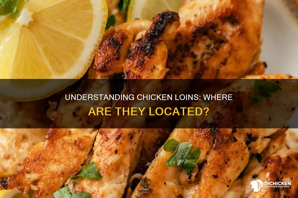 what part of a chicken is it