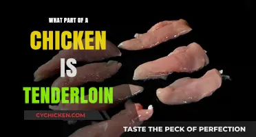 Discover the Tenderloin: A Hidden Chicken Cut Explained